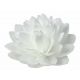 Jedlá oblátková DALIA kvet biela 12,5cm 470101