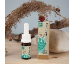 CBD olej 10ml 10%
