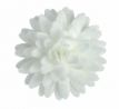 Jedlé oblátkové sedmokrásky kvet 4,5cm/18ks biele