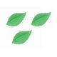 Jedlé oblátkové listy 5,5cm zelené