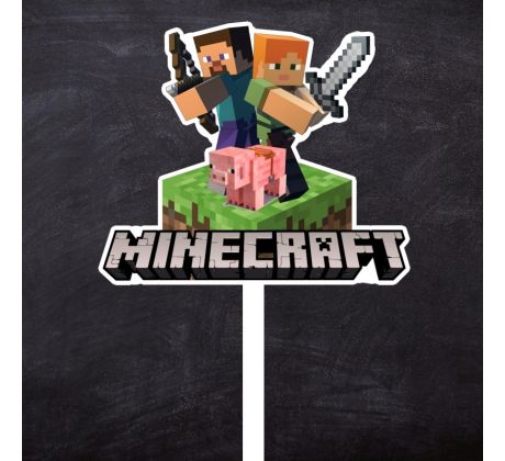 Zápich plastový Minecraft LOGO
