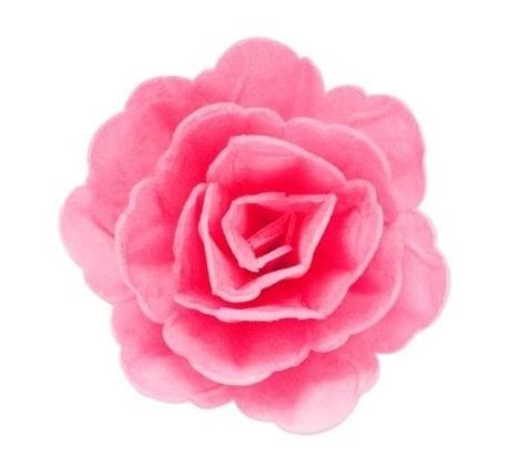 Jedlá oblátková čínska ruža 12,5cm fuchsiová