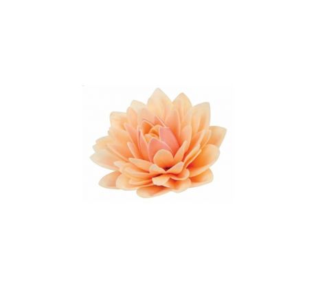 Jedlá oblátková DALIA kvet tieňovaná pudrová 12,5cm