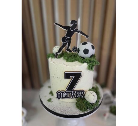 Sprej VELVET 400ml (semišový)